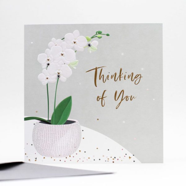 Luxury Boxed Cards Thinking of you