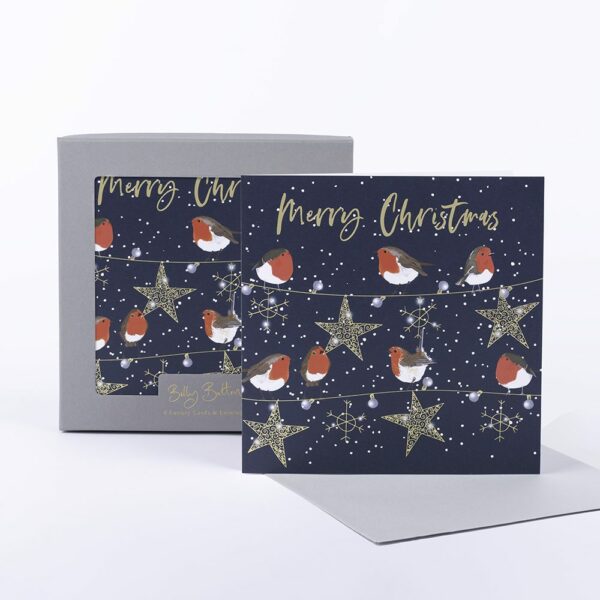 Robins Luxury Boxed Cards - Pack of 8